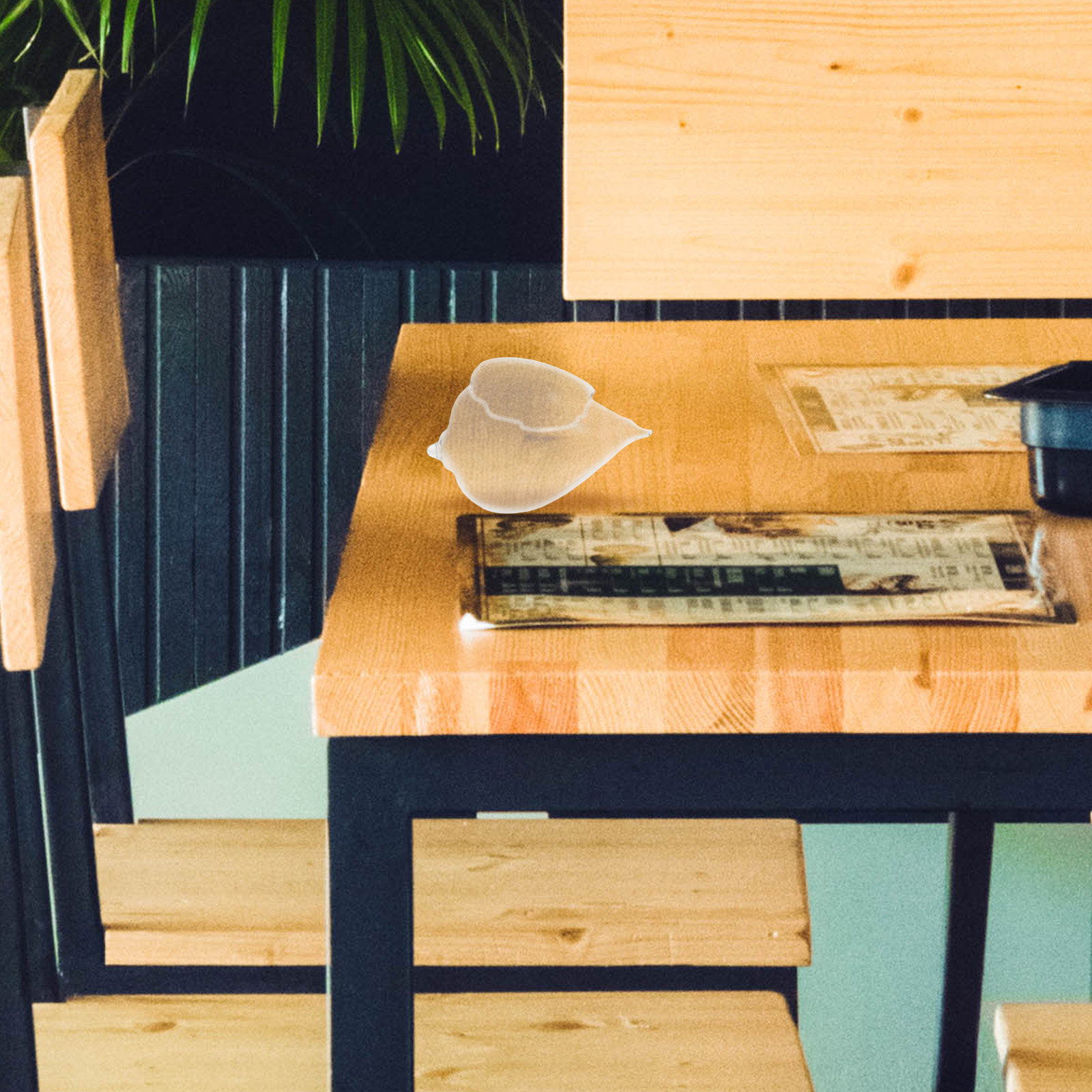 Gelas Kaca Bentuk Kerang Kreat - Coffee And Tea Glass ulasan dan harga